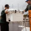 imagePelican 70 Quart Elite CoolerSageGray